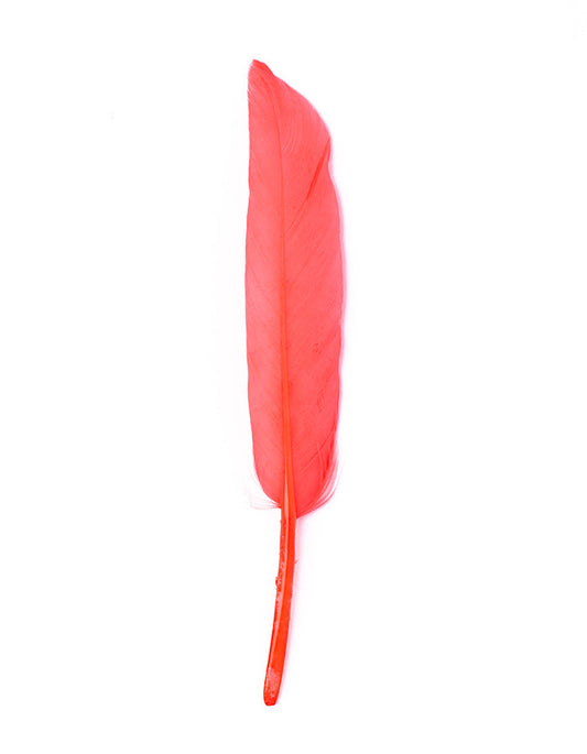 Hajékszer colored feather hair ornament Pink AFROline (1pc)-0